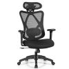 High Back Mesh Executive Chair with Adjustable Lumbar Support