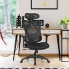 High Back Mesh Executive Chair with Adjustable Lumbar Support