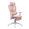 Ergonomic Mesh Office Chair with 2D Adjustable Armrest,High Back Desk Computer Chair,Ergonomic Office Chair with Wheels for Home & Office