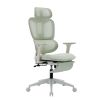 Ergonomic Mesh Office Chair with 2D Adjustable Armrest,High Back Desk Computer Chair,Ergonomic Office Chair with Wheels for Home & Office