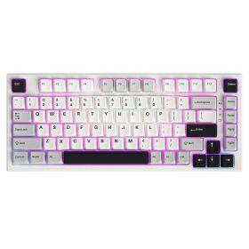 YUNZII YZ75 75% Hot Swappable Wireless Gaming Mechanical Keyboard, RGB Backlights, BT5.0/2.4G/USB-C, Dye Sub PBT Keycaps for Linux/Win/Mac (Color: White)