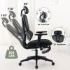 Ergonomic Mesh Office Chair with 2D Adjustable Armrest,High Back Desk Computer Chair,Ergonomic Office Chair with Wheels for Home & Office