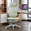 Ergonomic Mesh Office Chair with 2D Adjustable Armrest,High Back Desk Computer Chair,Ergonomic Office Chair with Wheels for Home & Office